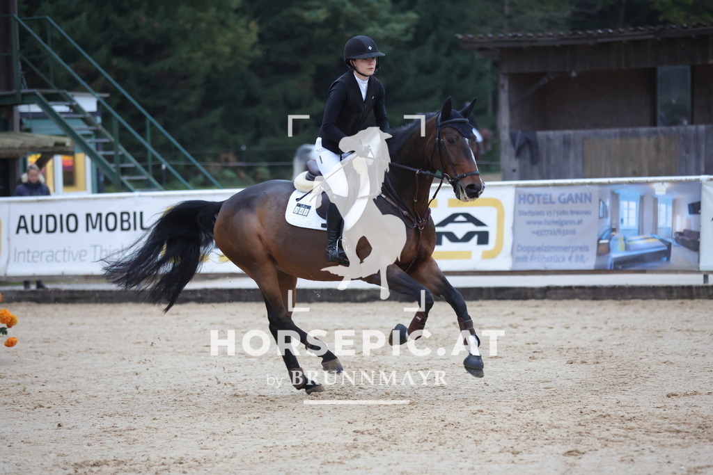 0P6A5351 | Willkommen bei Brunnmayr - Design & Fotografie – Ihrem Spezialisten für Reitturniere und Pferdeveranstaltungen in Oberösterreich, Salzburg und Bayern! Seit über 17 Jahren sind wir leidenschaftlich dabei.
