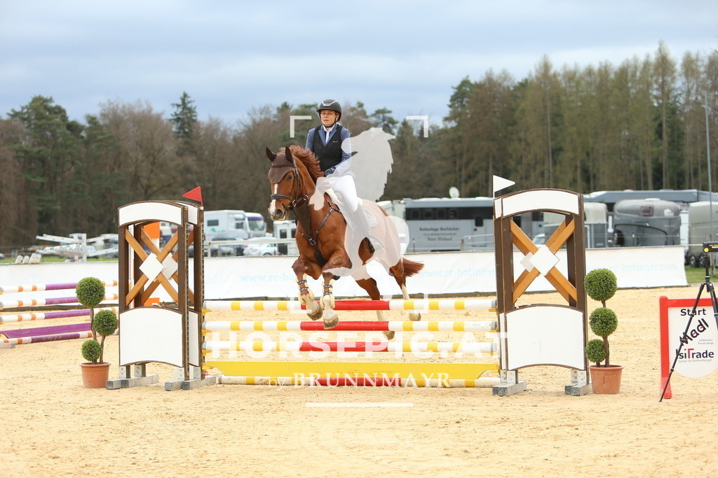 DL2Q1867 | Willkommen bei Brunnmayr - Design & Fotografie – Ihrem Spezialisten für Reitturniere und Pferdeveranstaltungen in Oberösterreich, Salzburg und Bayern! Seit über 17 Jahren sind wir leidenschaftlich dabei.