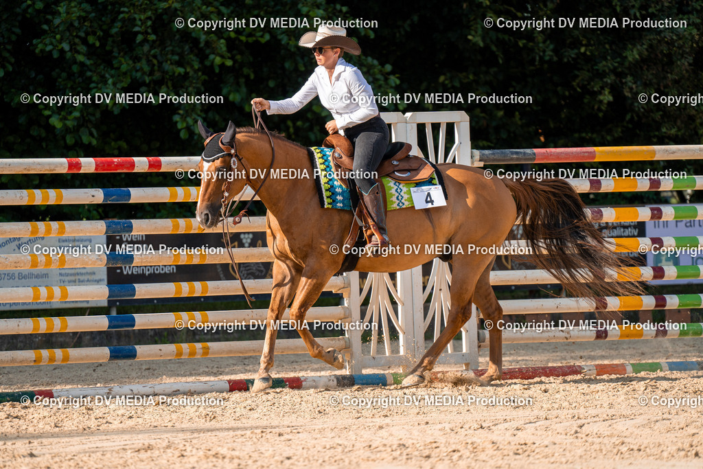 ZH100851 | dv-media-shop - Realisiert mit Pictrs.com