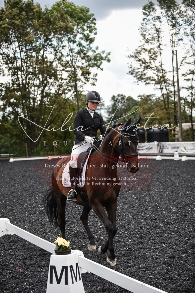 DSC_4866 | Pferde- und Turnierfotografie in Westsachsen. Pferdeportraits, Auftragszeichnungen und intuitive Kunst.
