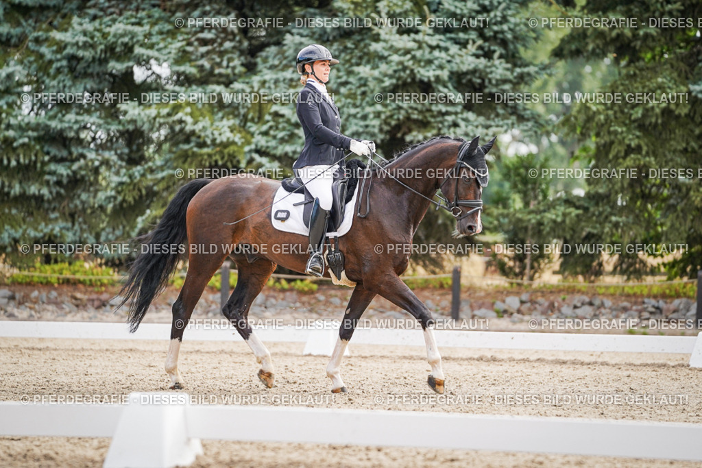 DSC01710 | Pferdegrafie