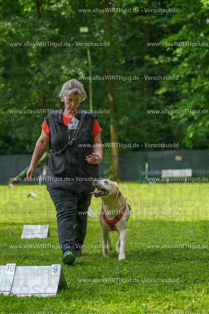 @allesWIRTHgut_Tierfotografie - www.allesWIRTHgut.de - 7R502236 | Professionelle Tierfotografie in Mönchengladbach von Daniel Wirth (allesWIRTHgut). Liebevolle & natürliche Bilder von Hunden & Katzen für unvergessliche Erinnerungen.