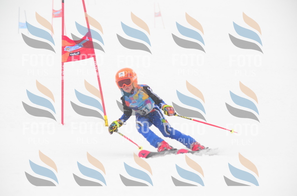 C0763 | holidayphoto