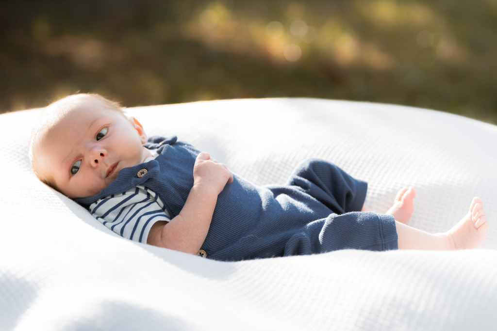 ZD260823180304 | Fotoshop von zweidimensional Fotografie. Ihr Fotograf im Aargau. Abzüge von Ihrem Fotobox Event bestellen.Abzüge von Ihrem Hochzeit bestellen.Abzüge von Ihrem Schulfotograf bestellen.