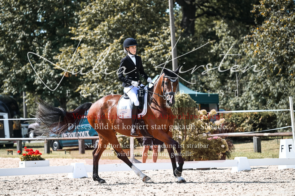 DSC_5055 | Pferde- und Turnierfotografie in Westsachsen. Pferdeportraits, Auftragszeichnungen und intuitive Kunst.