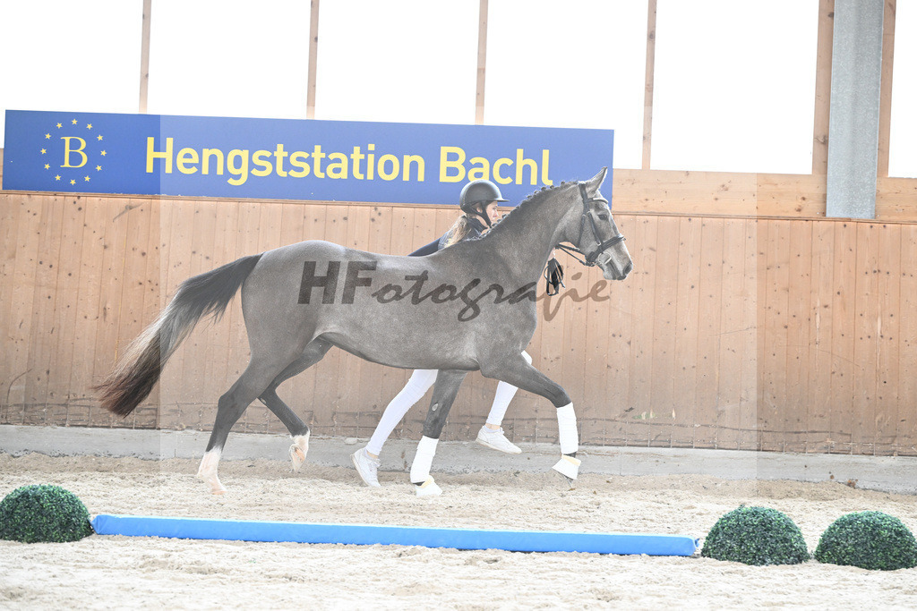 Kat-Nr. 66 Daytona v. Christ_Hoffmann_7241302 | hf-fotografie - Realizzato con Pictrs.com