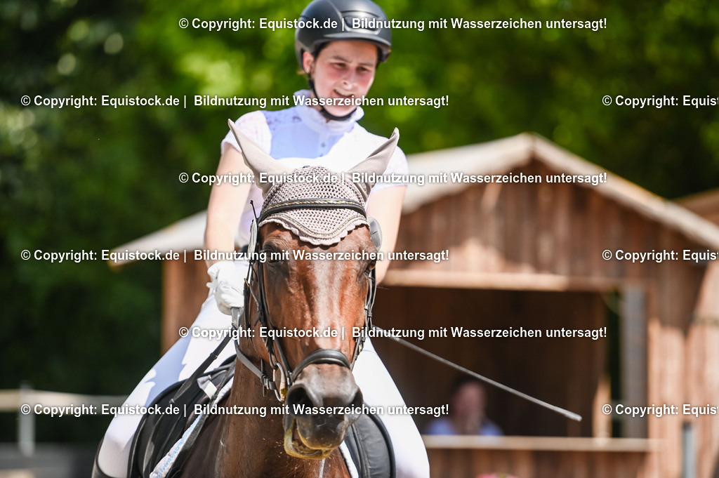 20230715_09_Dressur-WB_0289 | equistock