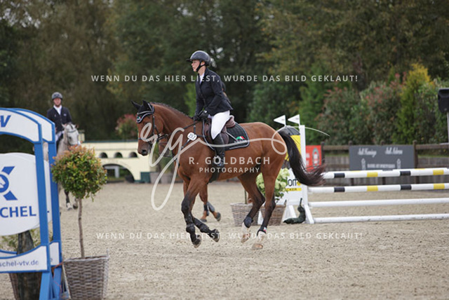 1J2A9406Lisa-Marie Bornhöft_ Coda C_ Kn252_ Havekost | Foto- und Videografie für alles rund ums Pferd. Hochwertige Bilder und Videos vom Spring- und Dressurreiten, Voltigieren & mehr. Jetzt aktuelle Veranstaltungen und Preise im Shop ansehen. - Realisiert mit Pictrs.com