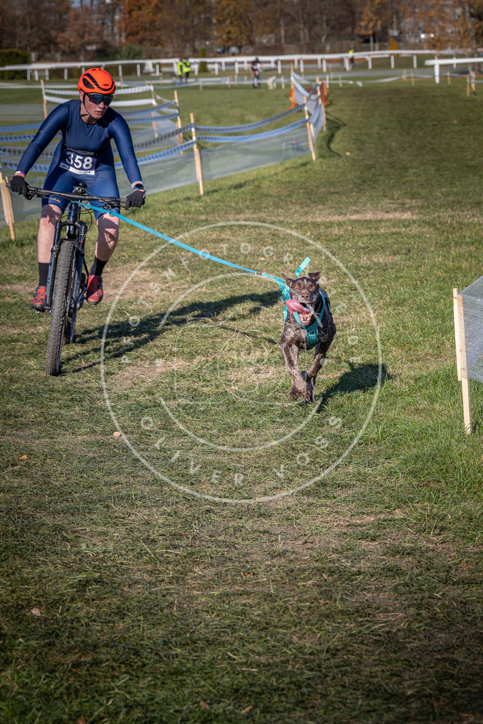 CaniXpix_0L8A6182 | Hundefotografie, Tierfotograf, Pfotenfotografie, Fotoshooting Hund, Hunde Portrait, Hundesport, Hundeportraits, Heideshooting, Hunde, Sportfotograf, Hundefotograf, Turnierhundsport, THS,  - Realisiert mit Pictrs.com