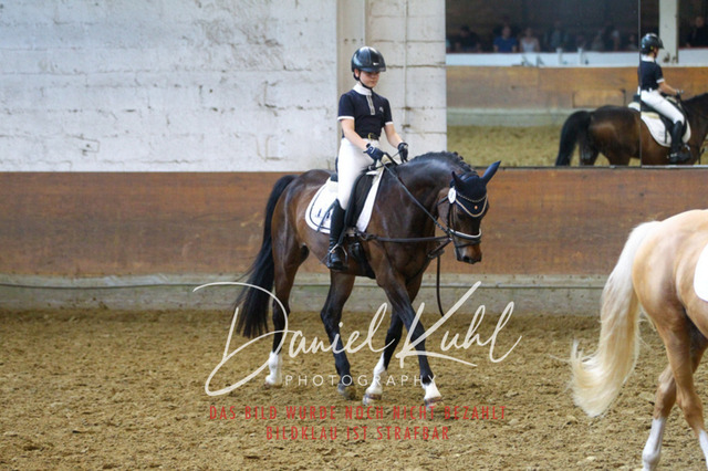 DKP44019 | Turniersportfotografie; Pferdefotografie; Dressurfotografie