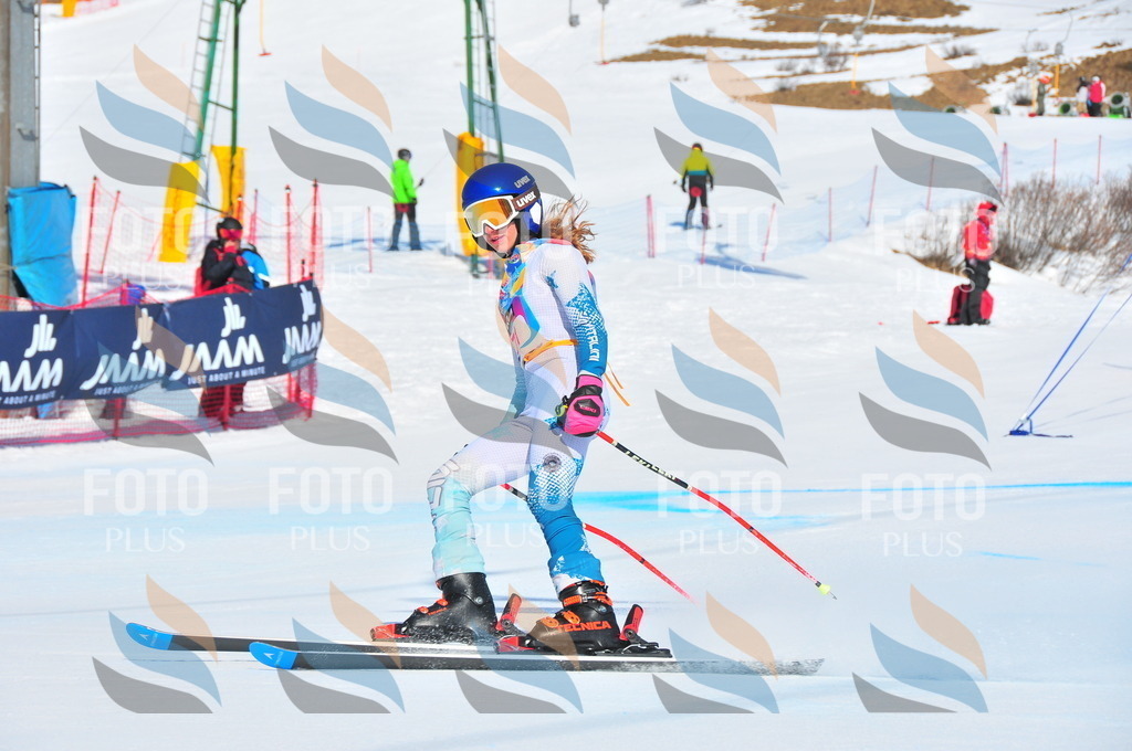 DSC_4295 | holidayphoto