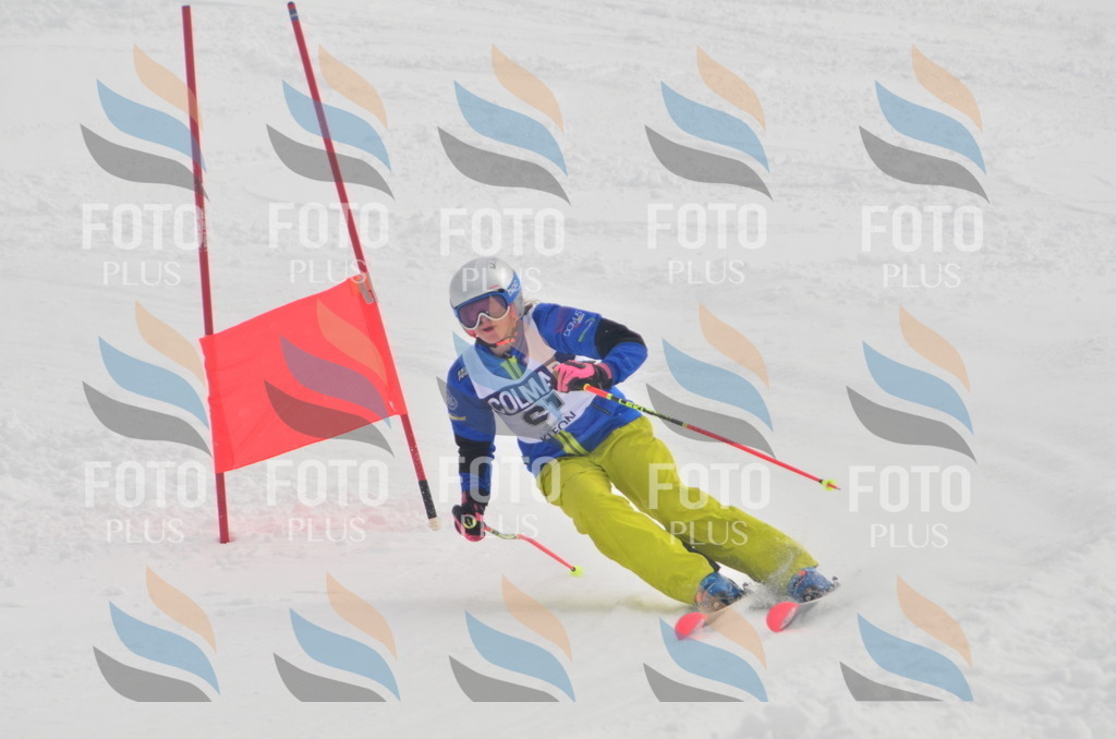 A5493 | holidayphoto