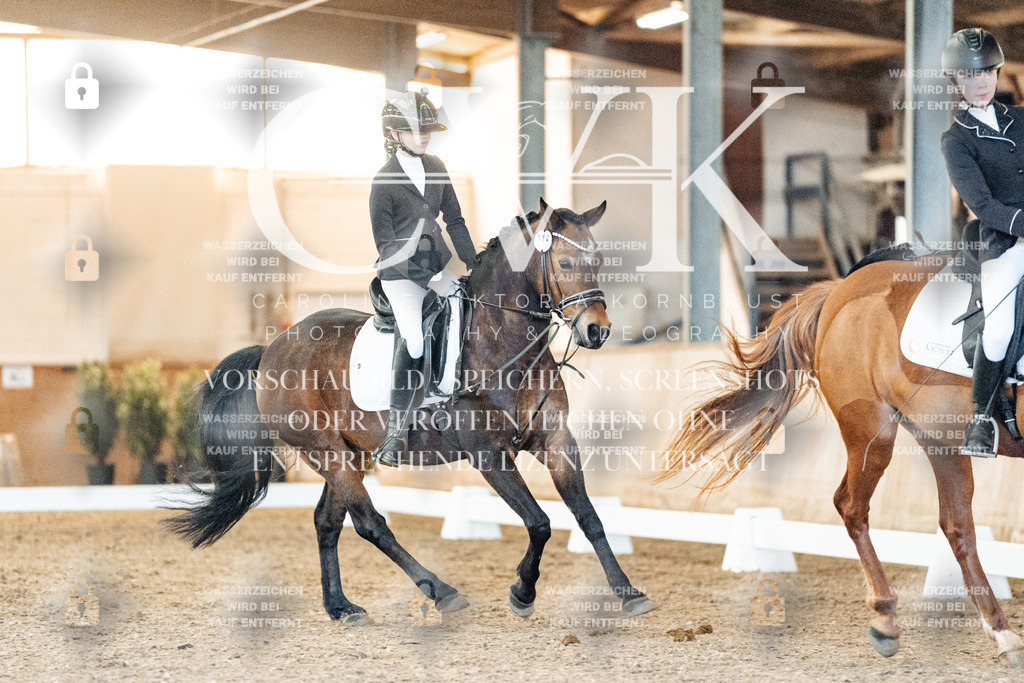 CK906613 | Turnierfotografie Pferdefotografie Trier Rheinland-Pfalz Pferdesport Reitsport Tierfotografie Sportfotografie Pferdevideo Pferdevideografie Equestrianvideography equestrianphotography  - Realisiert mit Pictrs.com