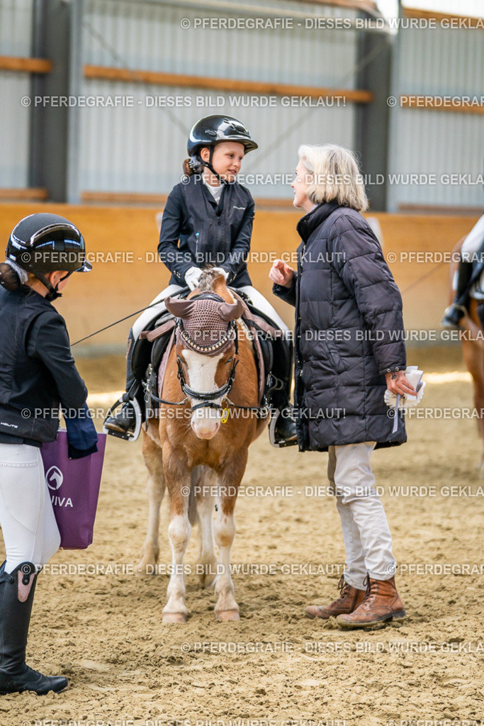 DSC03070 | Pferdegrafie