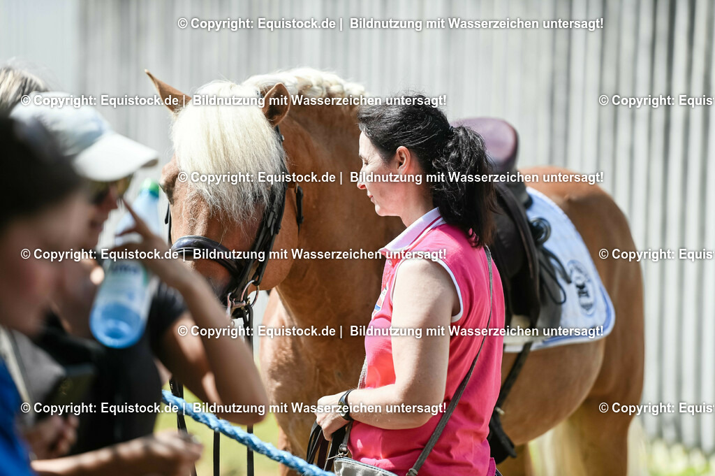 20230716_01_Dressurprüfung Kl.M_0233 | equistock