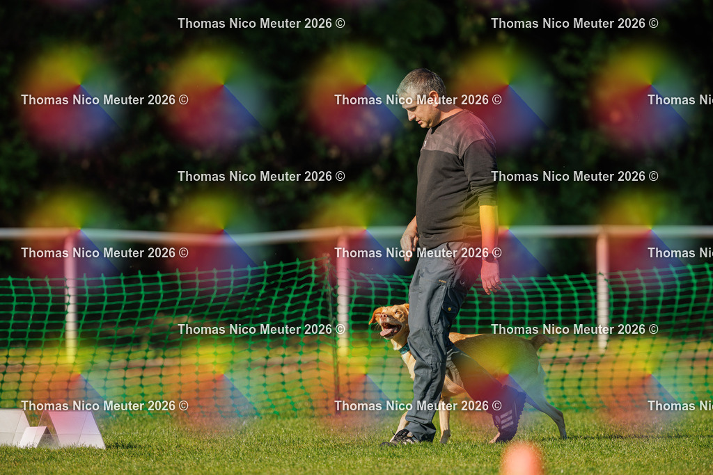 Thomas_Nico_Meuter(C)_04. Oktober 2026_223A4012 | Bild von Thomas Nico Meuter - Realisiert mit Pictrs.com
