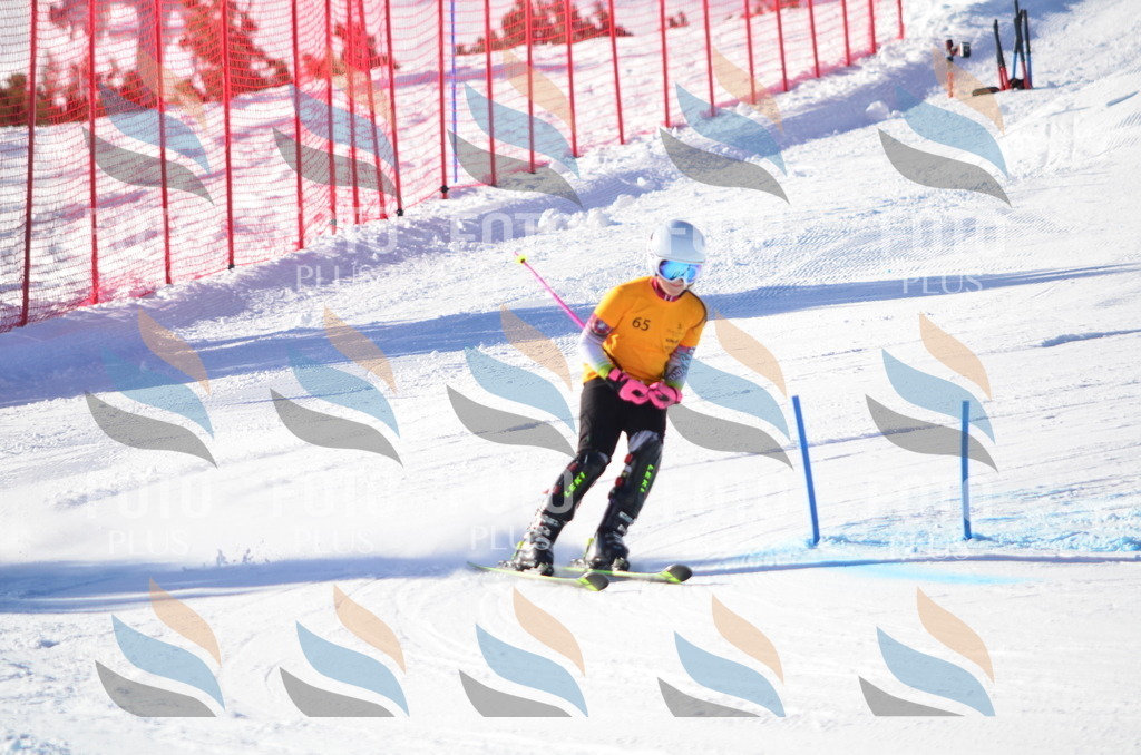 C5819 | holidayphoto