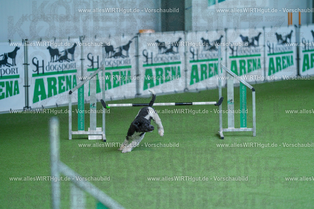 @allesWIRTHgut_Tierfotografie - www.allesWIRTHgut.de - 2604261340-7R502397 | Professionelle Tierfotografie in Mönchengladbach von Daniel Wirth (allesWIRTHgut). Liebevolle & natürliche Bilder von Hunden & Katzen für unvergessliche Erinnerungen.