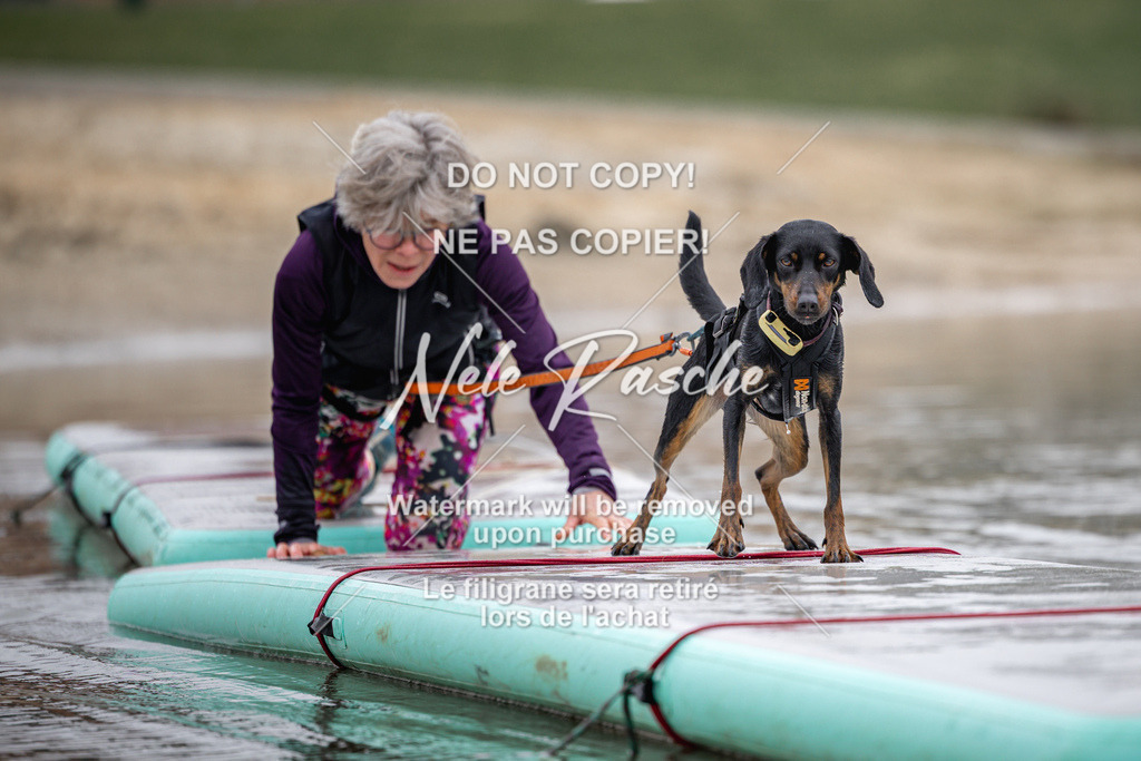 nelerasche_Hulsbeek_Sa1130-1230_306 | nelerasche