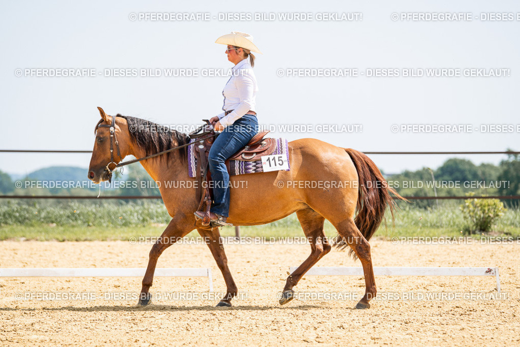 DSC00765 | Pferdegrafie