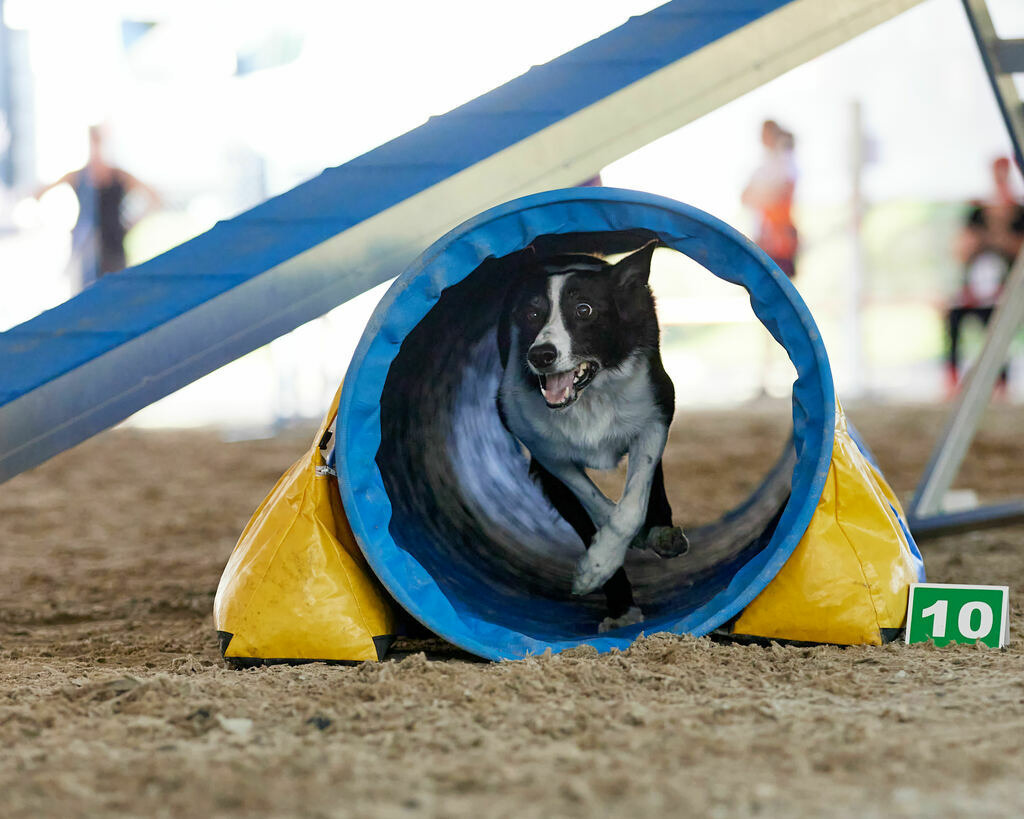 580A0039 | Peter Fridle Fotografie - Realisiert mit Pictrs.com