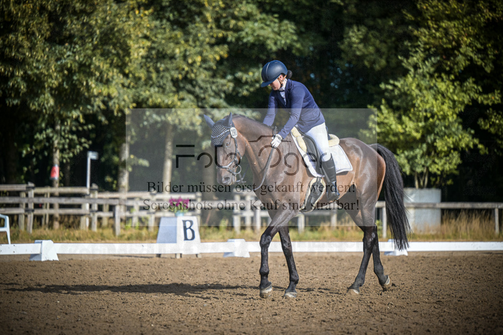 DOS_0504 | Entdecke hochwertige Reitturnierfotos von Foto Oger. Professionell, emotional und authentisch – jetzt Lieblingsmomente im Shop bestellen.Deutschlandweite Turnierfotografie. - Realisiert mit Pictrs.com