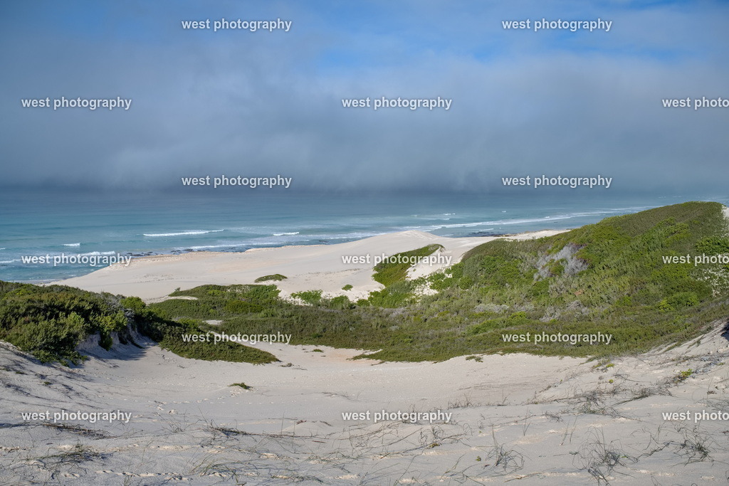 De Hoop Nature Reserve - RSA 2025 | west photography - Realisiert mit Pictrs.com