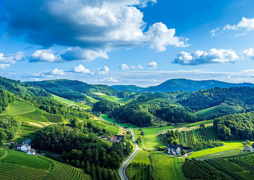 MPI_Renchtal_0004 | Blick über das Bottnauer Tal - Realisiert mit Pictrs.com
