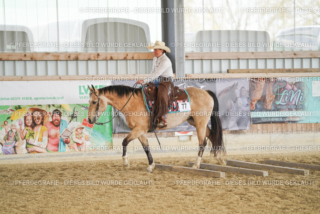 DSC01795 | Pferdegrafie