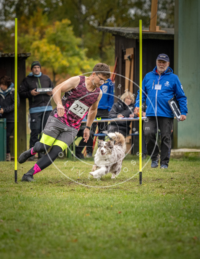 Pfotenfotografie_DV3A9768 | Hundefotografie, Tierfotograf, Pfotenfotografie, Fotoshooting Hund, Hunde Portrait, Hundesport, Hundeportraits, Heideshooting, Hunde, Sportfotograf, Hundefotograf, Turnierhundsport, THS,  - Realisiert mit Pictrs.com