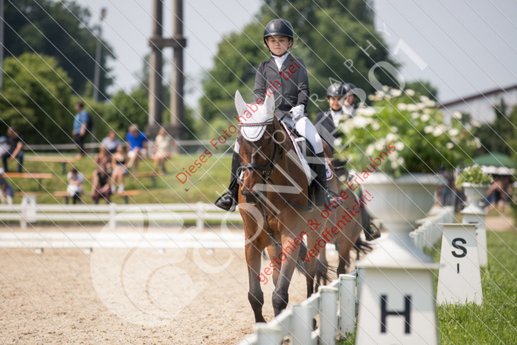 IMG_3477 | Sport-, Event- und Tierfotos in Profiqualität. Einfach auswählen, bestellen und herunterladen. Dein Moment – perfekt festgehalten.