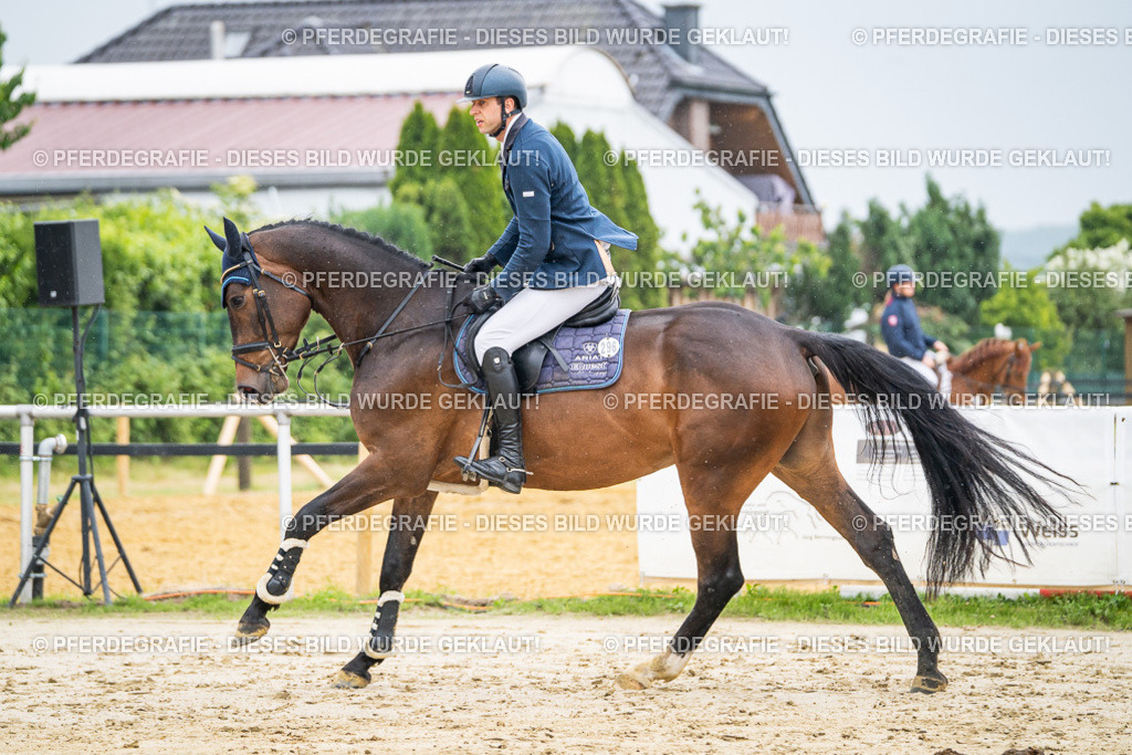 DSC00773 | Pferdegrafie