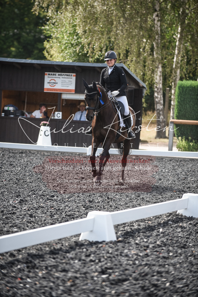 DSC_5176 | Pferde- und Turnierfotografie in Westsachsen. Pferdeportraits, Auftragszeichnungen und intuitive Kunst.