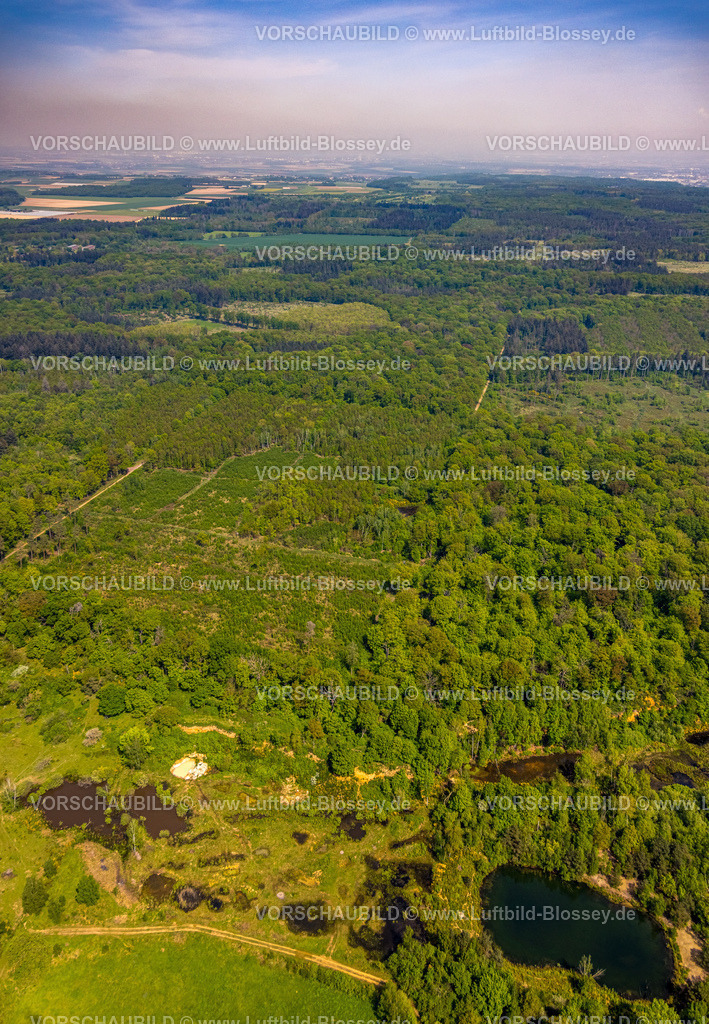 Swisttal240501634Kottenforst | Luftbild, Waldgebiet Kottenforst, Teiche Kiesgrube Dünstekoven Landschaftsschutzgebiet, Naturschutzgebiet Waldville mit Fernsicht mit Wolkenband, Heimerzheim, Swisttal, Rheinland, Nordrhein-Westfalen, Deutschland