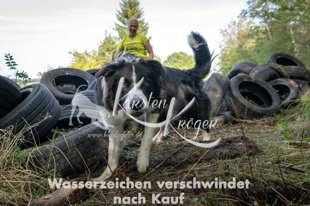 1538_ZZ91990 | kk-dogfotos