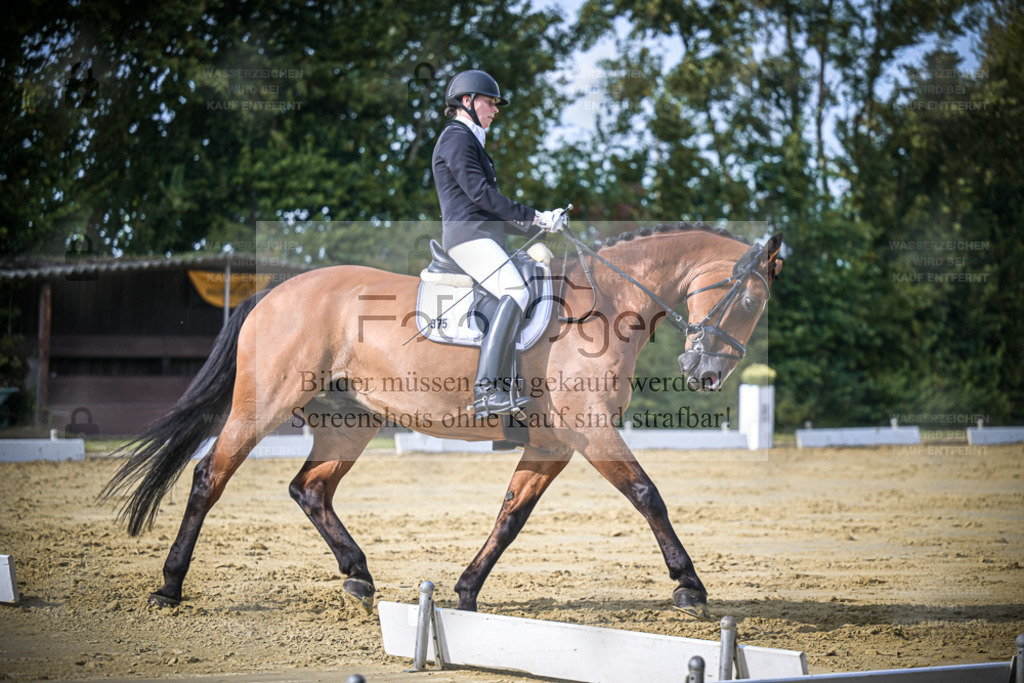 DOS_8302 | Entdecke hochwertige Reitturnierfotos von Foto Oger. Professionell, emotional und authentisch – jetzt Lieblingsmomente im Shop bestellen. - Realisiert mit Pictrs.com