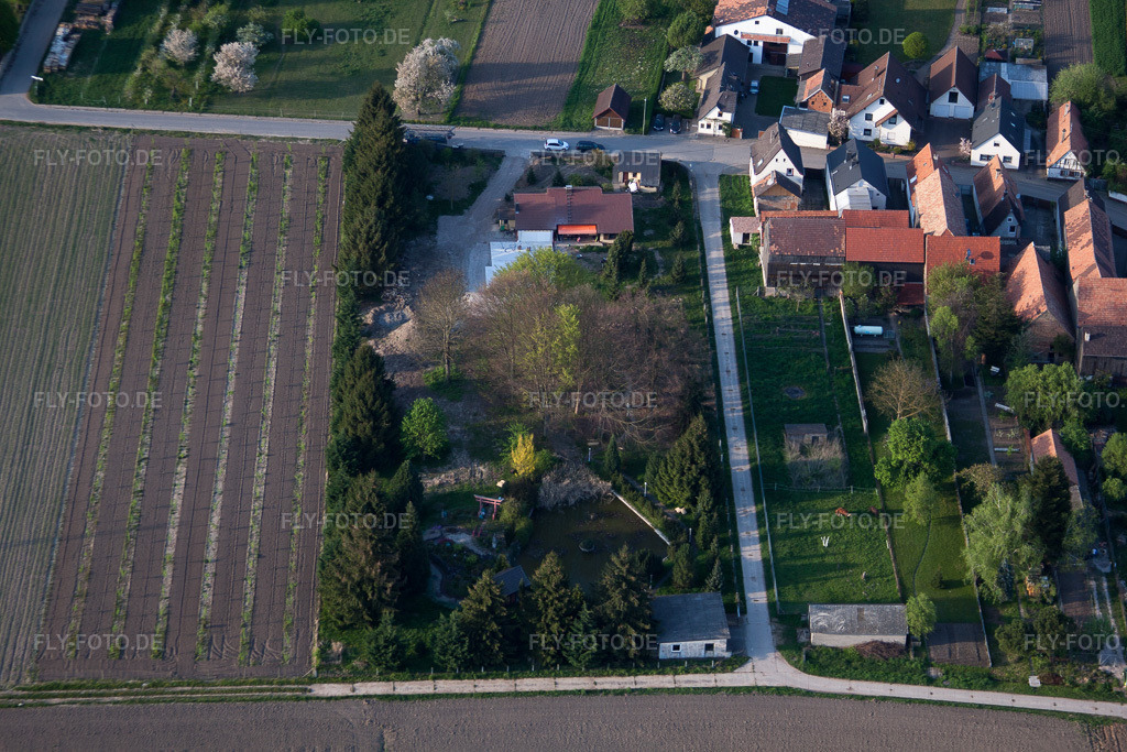 Luftbild: Ziergarten von Süden in Erlenbach bei Kandel im Bundesland Rheinland-Pfalz in Deutschland. Foto: IMG_64287.jpg vom 11.04.2014 durch Werner Riehm/FLY-FOTO.de