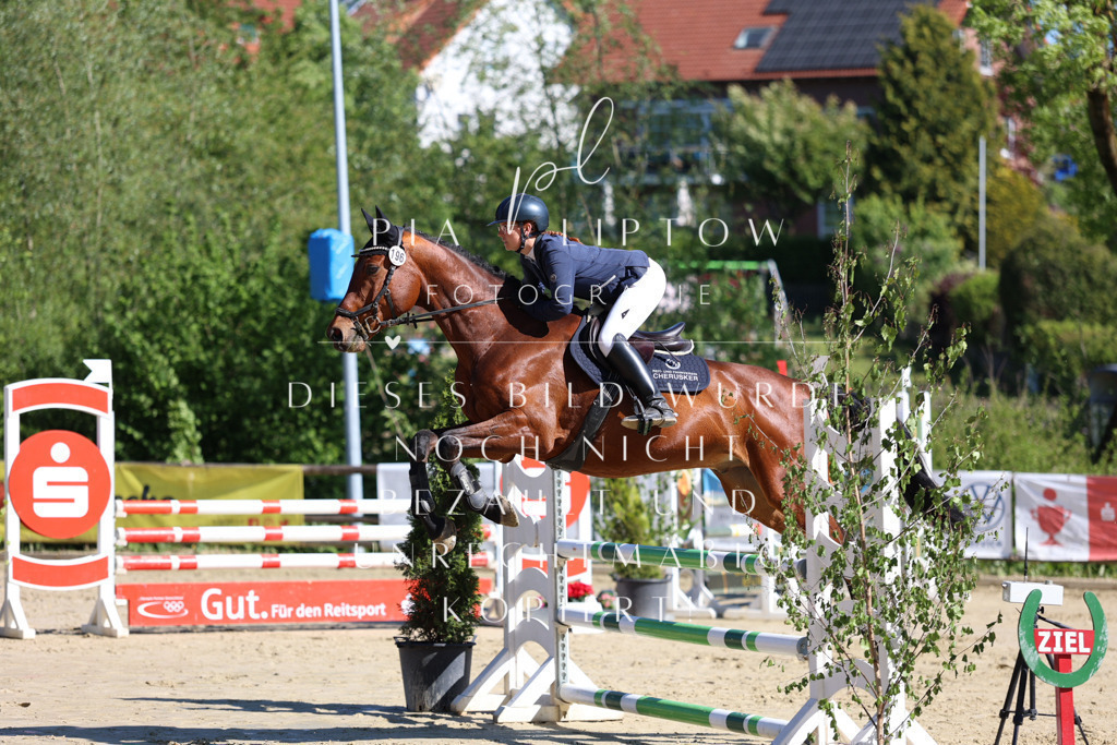 IMGS6667 | pl-fotografie