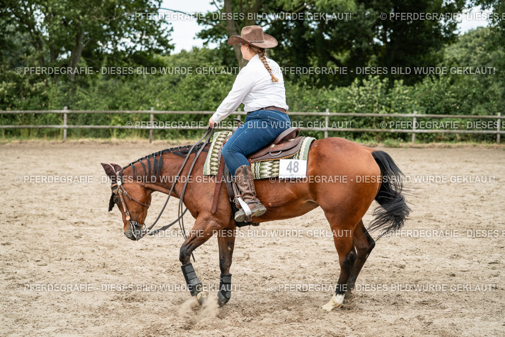 DSC02442 | Pferdegrafie