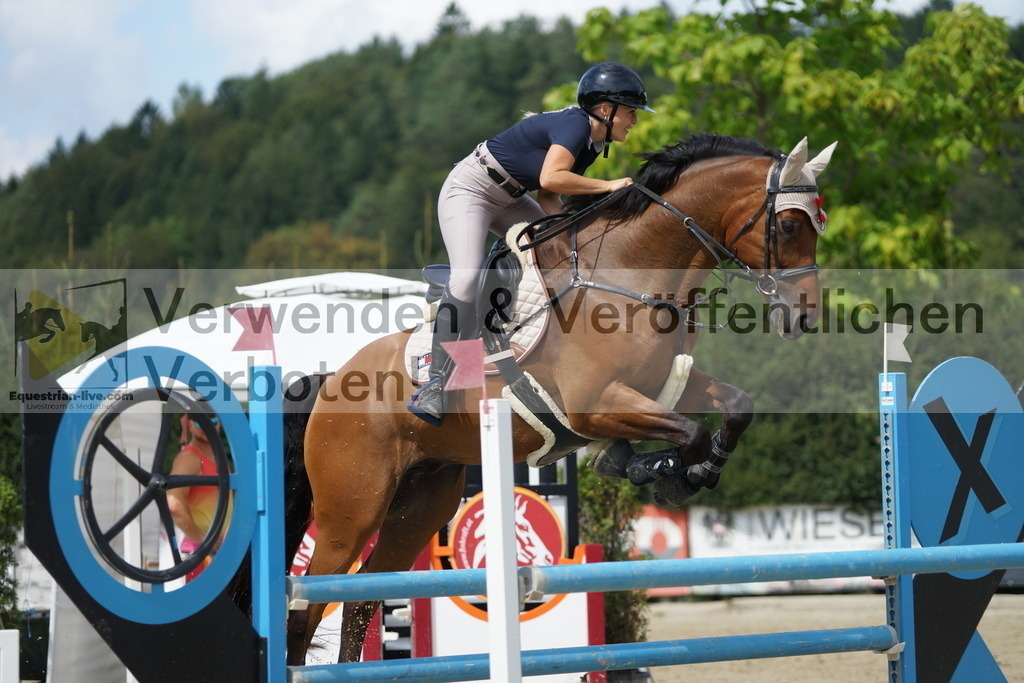 DSC00102 | equestrian-live-com