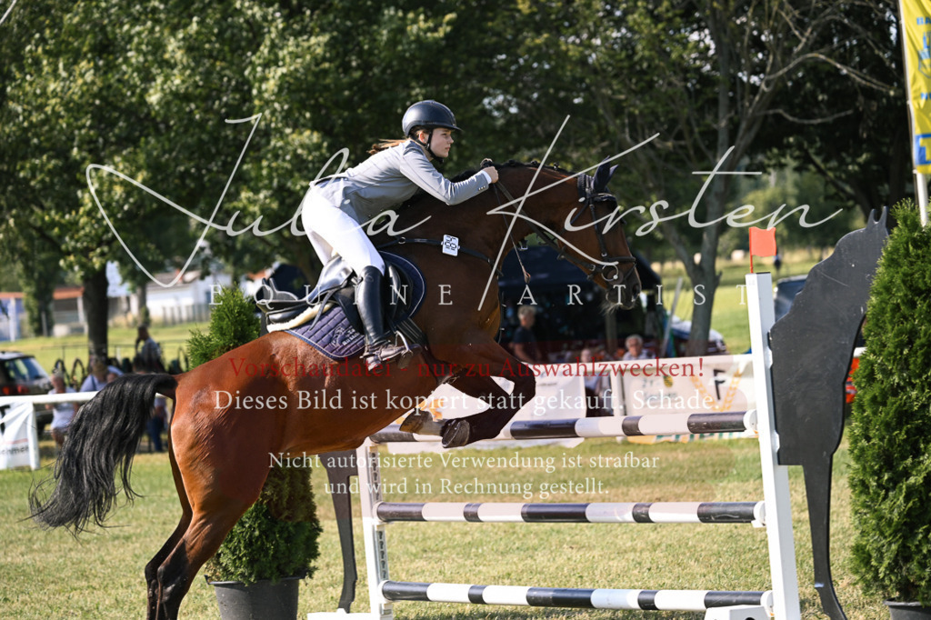 DSC_1346 | Pferde- und Turnierfotografie in Westsachsen. Pferdeportraits, Auftragszeichnungen und intuitive Kunst.