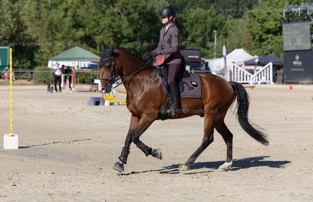 WL_Speed_105_KerstinBernhardt-4 | working equitationturnier fotograf videograf stoibphotography marixx film working equitation deutschland reitsport turnierfotografie eventfotografie equestrian events