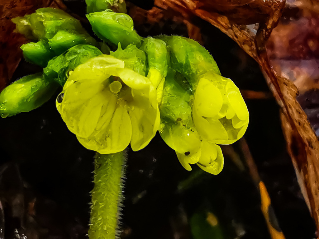 PSX_20230313_000450 | mtkfoto_ - Realisiert mit Pictrs.com