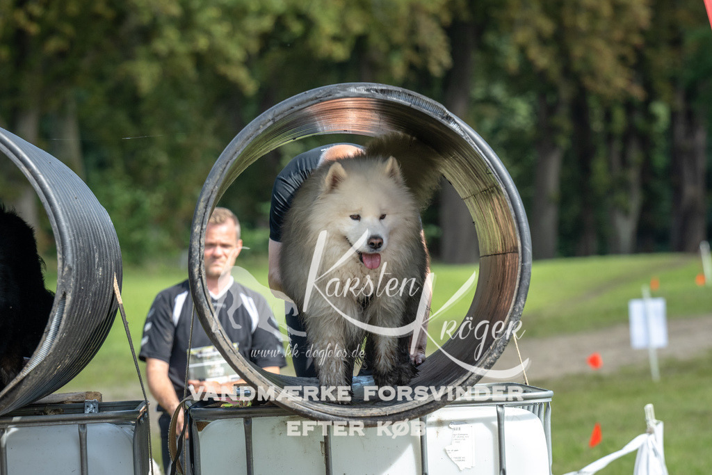 1313_ZZ92674 | kk-dogfotos