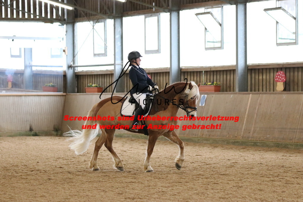 IMG_6428 | lmwpictures - Realisiert mit Pictrs.com