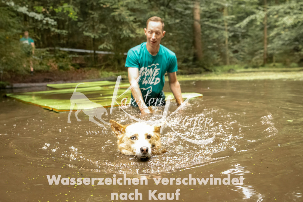 1202_ZZ92476-Bearbeitet | kk-dogfotos