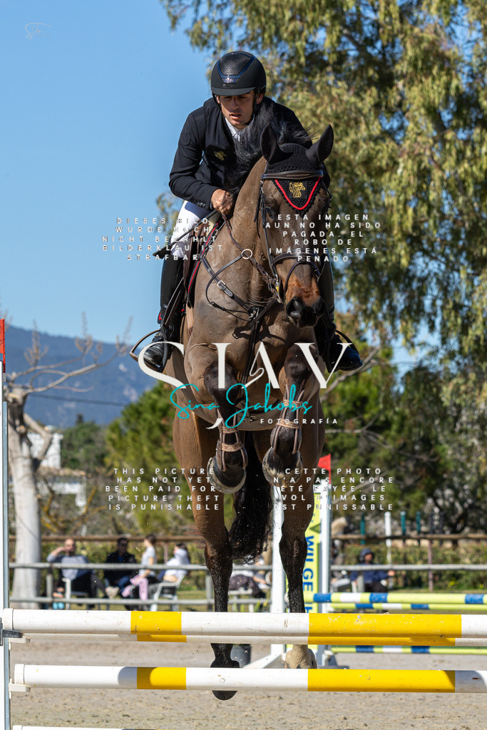 IMG_8941 | s-jay-photography - Realisiert mit Pictrs.com