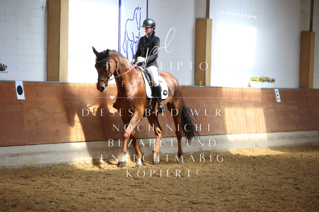 IMGT5033 | pl-fotografie