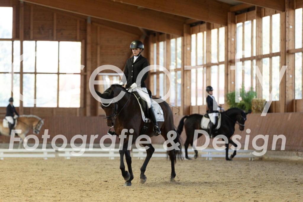 IMG_8675 | Creatify Fotografie