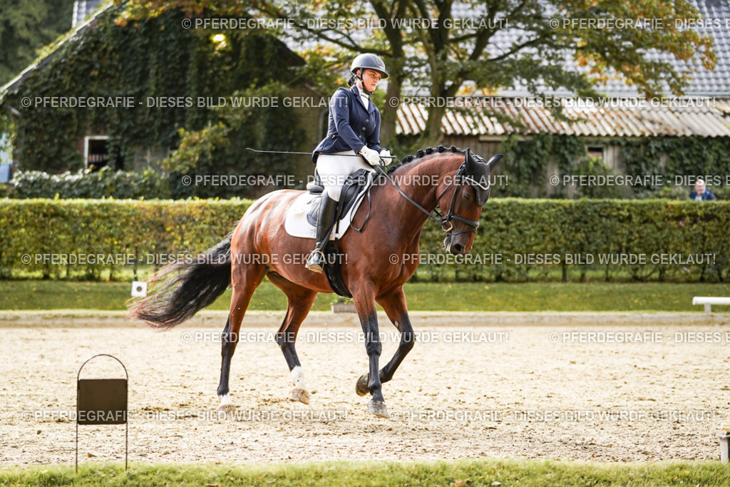 DSC09493 | Pferdegrafie